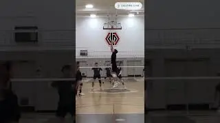 Kai Miles Line Swing