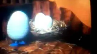 Nick Jr. Rooster ID (1998)