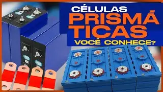 CÉLULAS PRISMÁTICAS você sabe o que são?