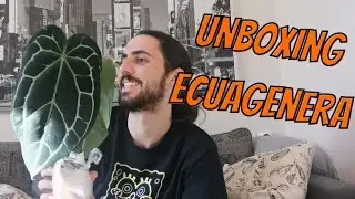 UNBOXING ECUAGENERA - Vários Antúrios e Filodendros lindos
