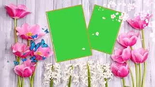 Wedding Green Screen Effects || blue screen background video effects hd || Green Screen #EditingZone