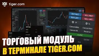 Отображение позиций и заявок на графике в терминале Tiger.com