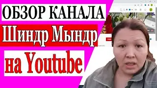 Сколько зарабатывает Шиндр Мындр на Youtube