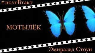 🔰МОТЫЛЁК🔰 ///Эмиральд Стоун