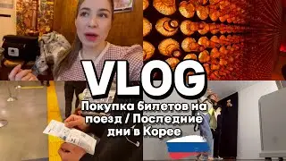 Покупаем билеты на поезд / Пивной фест / Распаковка с Али / Прогулка на даунтауне / KOREA VLOG