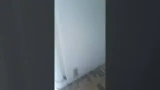 3 июня 2022 г.