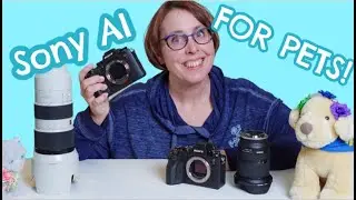 Sony A1 in 2022 Pet Photography Gear Kit