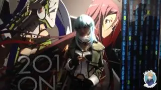 Anime Japan 2014. Огромный аниме фестиваль в Токио. Косплей на  Sword Art Online 2
