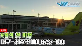 플라이트 시뮬레이터│진에어 B737-800│대구 - 제주│9월 첫 비행│Microsoft Flight Simulator
