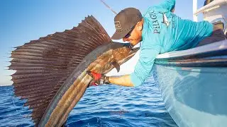 2 Days Offshore Chasing Giant Pelagic Fish!