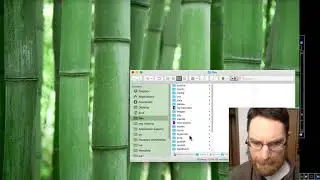 Updating docker scripts for custom One Hour One Life custom client