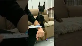 крутой фокус