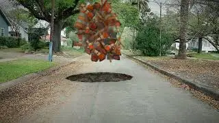 New Orleans Pot Holes