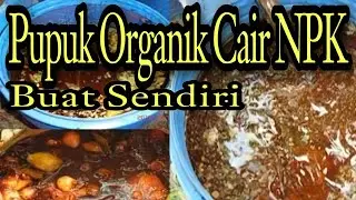 Cara membuat pupuk organik cair terbaik unsur NPK Untuk Cabe dan Melon