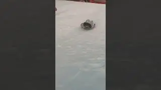 14 января 2024 г.