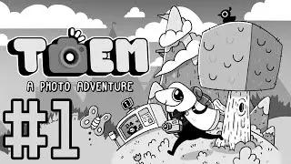 Toem Platinum Guide Part 1 - Homelanda
