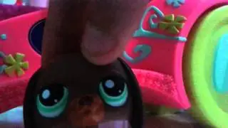 Respondendo Perguntas : Quarta Feira