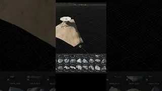 Create and re-use Scatter Presets with BagaPie 11 !