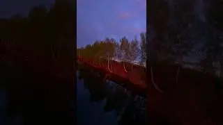 Символ России