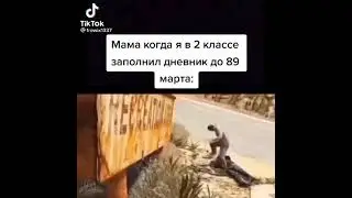 Мемы тик ток 