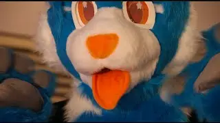 WAH.MP4