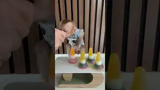baby monkey harry eats jelly jelly 🙊