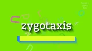 ZYGOTAXIS - HOW TO PRONOUNCE IT?