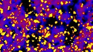 Vibrant HD Background Loop - Magenta, Blue, Yellow & Red