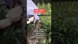 Bikin Sakit Perut Prank Pocong 🤣🤣🤣