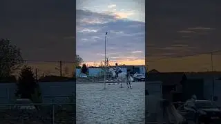 #equestrian