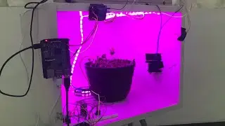 [Demo] Ceasar: Controlled Environment Agriculture System with Automated Recording
