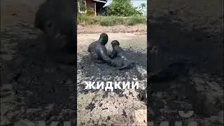9 апреля 2024 г.