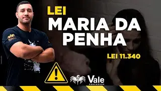 Socioeducativo MG | Lei 11.340 | Maria da Penha | Legislação Especial  - Prof. Wolner