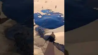 river of crude oil in the middle of desert