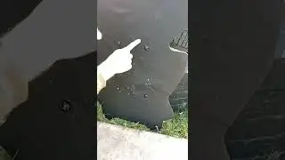 Отстрел легкого баллистического щита