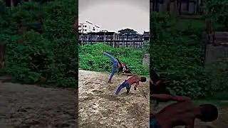 arial flip