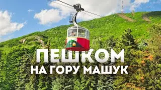 Влог 