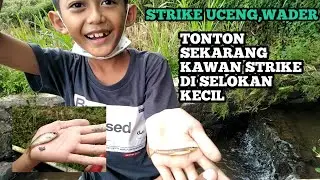 Strike diselokan kecil liat keseruan adekku kawan