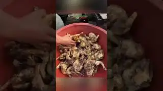 Day 187 from Gaza - Cooked Meals Continue in Gaza