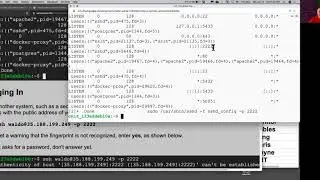 SSH Password Theft