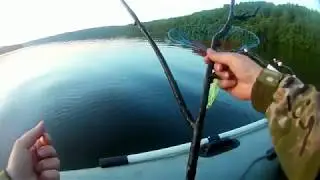 Лодочная рыбалка на Волге.Ловля леща на донки с лодки.