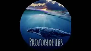 Organ' - Profondeurs (Tribecore)