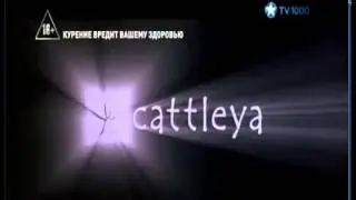 Rai Cinema/Cattleya/Elle Driver/Sicilia Film Commission/Sensi Film
