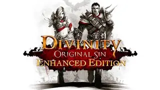 Divinity: Original Sin. Часть 48.