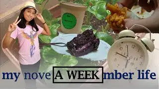 a week in my november life (& diwali🪔) | Simply Aki