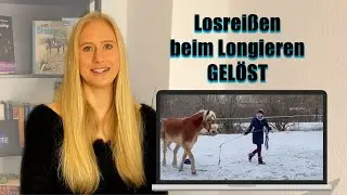 Das Pferd reißt sich beim longieren los Teil 2  - GELÖST