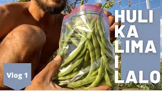 Epic Green Bean Harvest: Huli Ka Lima I Lalo: EPISODE 1