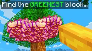Minecraft but One Block is Secretly OP