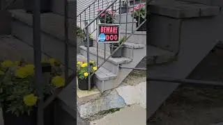 HOME IMPROVMENT DIY GARDEN PRODUCTS AND REVIEWS FOR EVERY DAY LIFE