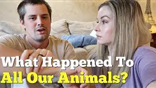 WHAT HAPPENED TO ALL OUR ANIMALS? - Update